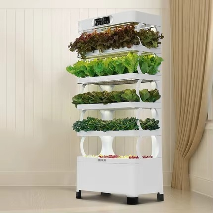 Sistema de cultivo automatizad - Home Automation Diy avaliação e preço